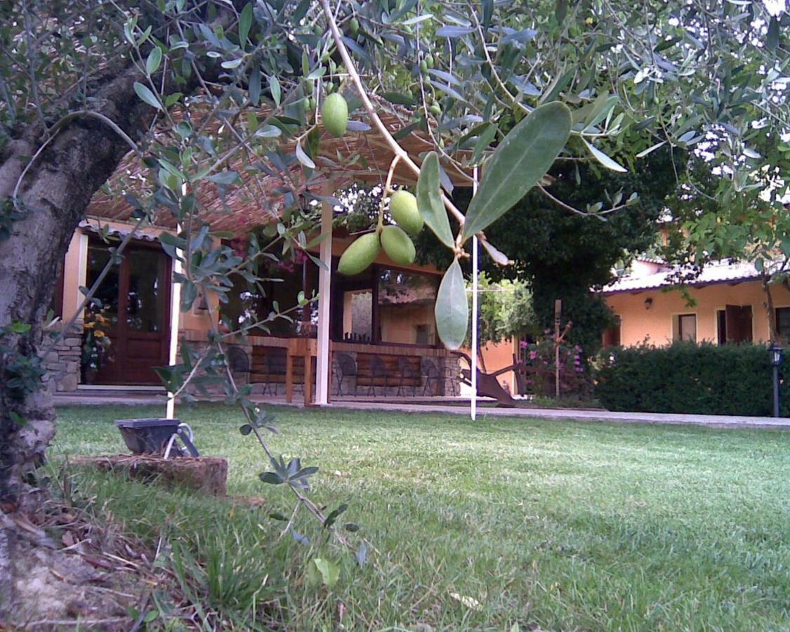 Le Spighe Agriturismo 체세나 외부 사진