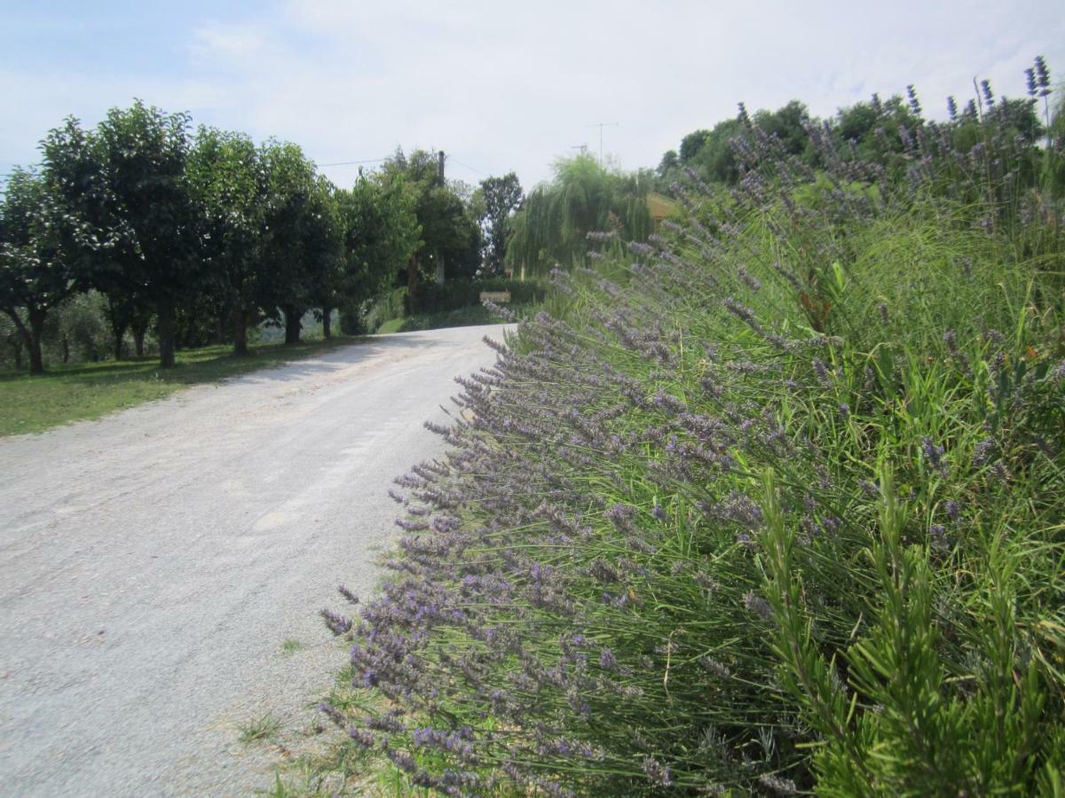 Le Spighe Agriturismo 체세나 외부 사진