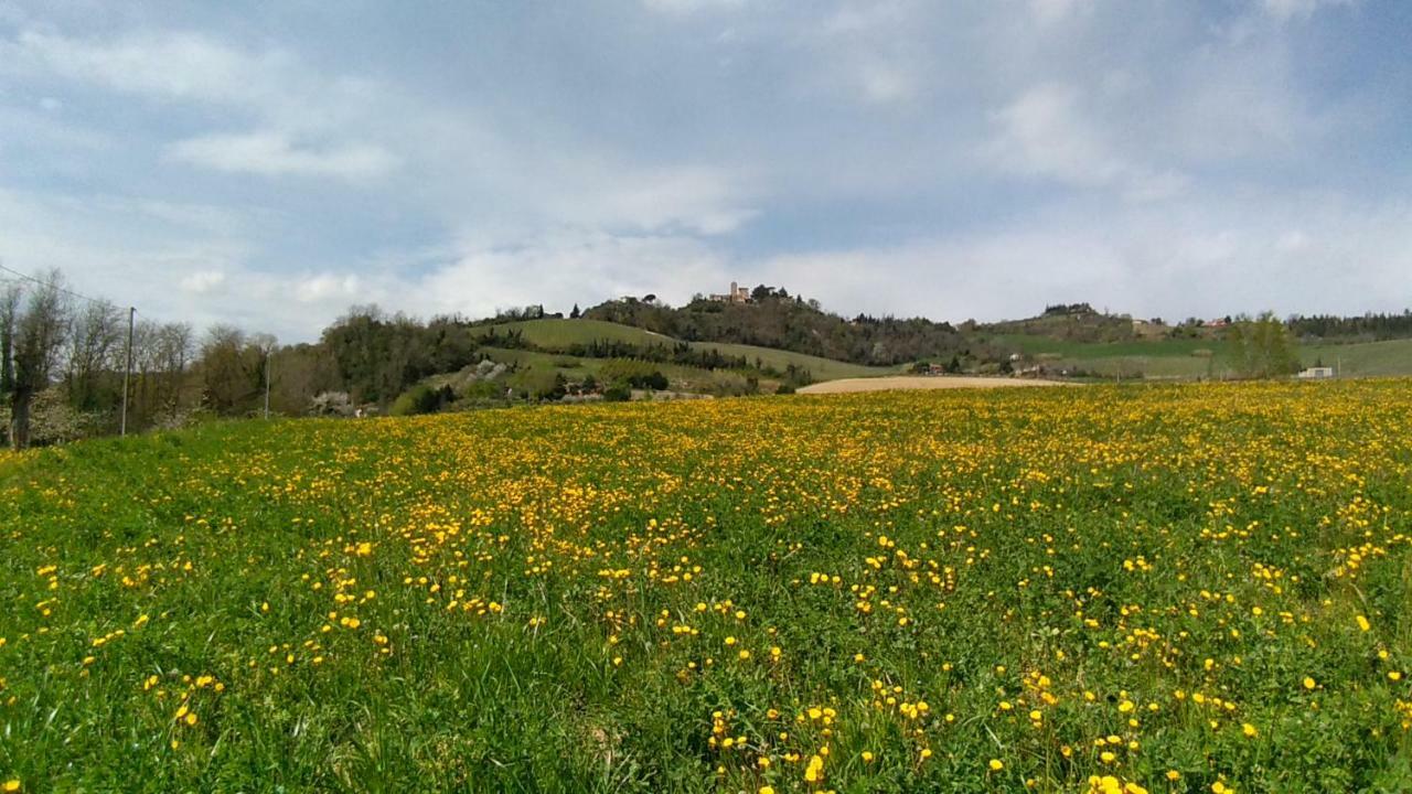 Le Spighe Agriturismo 체세나 외부 사진