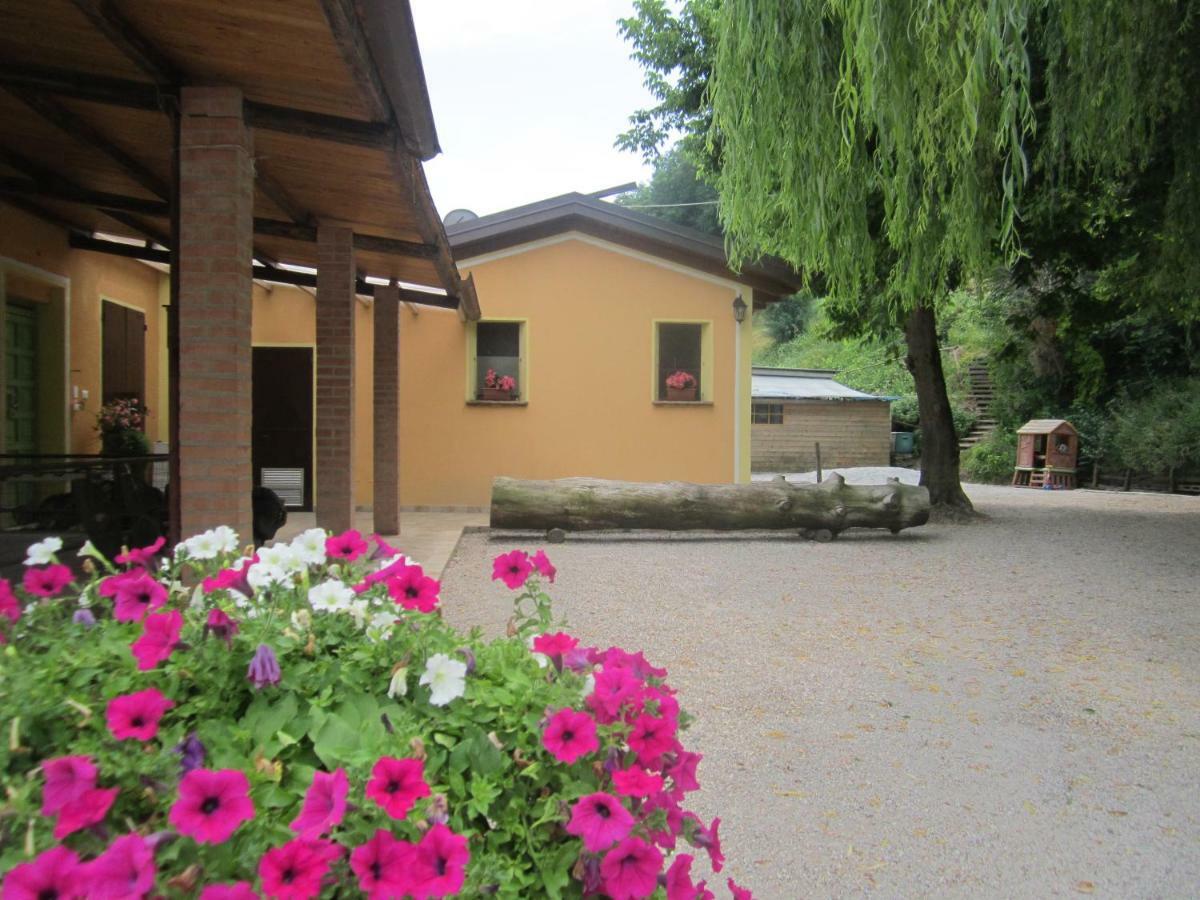 Le Spighe Agriturismo 체세나 외부 사진